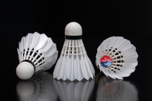 Match <span class=keywords><strong>de</strong></span> Badminton <span class=keywords><strong>de</strong></span> <span class=keywords><strong>Paris</strong></span> personnalisable approvisionnement suffisant volant <span class=keywords><strong>de</strong></span> <span class=keywords><strong>plume</strong></span> d'oie LINGMEI-90 <span class=keywords><strong>de</strong></span> Badminton pour l'entraînement <span class=keywords><strong>de</strong></span> tournoi - Product Image 4
