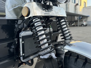 200cc Xăng hàng hóa Trike 3-Wheeler dahe cơ giới ba bánh Xăng <span class=keywords><strong>Piaggio</strong></span> cho đô thị giao hàng và trang trại haulage - Product Image 6