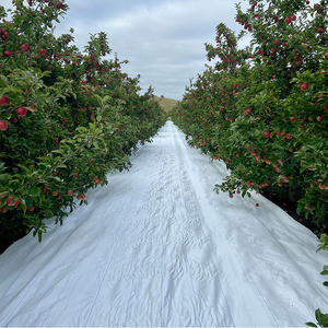 WON, plástico blanco, vivero agrícola, mantillo, barrera de malezas, cubierta de suelo, alfombrilla tejida para malezas - Product Image 3