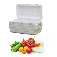 LIHENG 180L Refroidisseur isolé sans roue Outdoor Camping Fishing Ice Box 170L Large Capacity Plastic Freezable Can Cooler