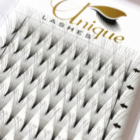 Extensions de cils en éventail de soie coréenne de qualité supérieure, prêtes à l'emploi, style naturel, courbure DD, faux cils