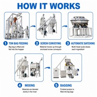 Ligne de pesage, mélange et conditionnement sur mesure pour poudres et granulés – Personnalisation par le fabricant pour la production de détergents