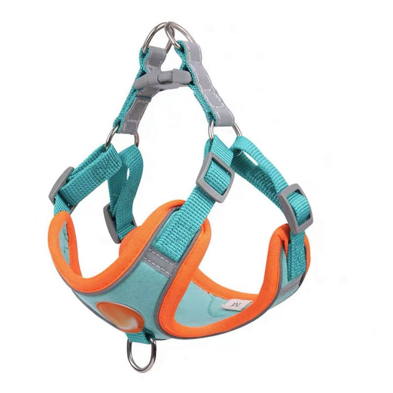 Soporte individual azul para pecho y espalda [inalámbrico]