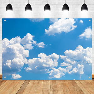 Bleu ciel blanc nuages <span class=keywords><strong>paysage</strong></span> toile de fond photographie <span class=keywords><strong>paysage</strong></span> naturel enfants bébé douche fête d'<span class=keywords><strong>anniversaire</strong></span> fond Photo Studio - Product Image 3
