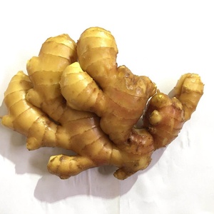 Gengibre jovem fresco 200g Jining rico fazendeiro venda quente na China 2025 novo - Product Image 1