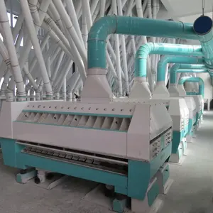 300 Ton Automatische Turkije Commerciële Maïs Tarwe Korenmolen Freesmachine In India Ethiopië