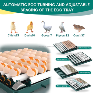 <strong>12</strong> <strong>Eggs</strong> Chicken Incubator and Hatcher Poultry <strong>Egg</strong> Hatching Fully Automatic <strong>Egg</strong> Incubators - Product Image 4