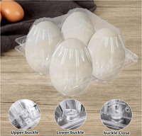 Cartons d'œufs en plastique Cartons d'œufs réutilisables en vrac pour poulet dinde canard Carton d'œufs transparent vide pour le stockage au réfrigérateur