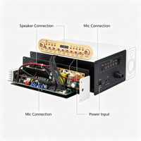 Module amplificateur audio numérique AC220V DC12V pour système de musique vocale extérieur avec carte PCB complète