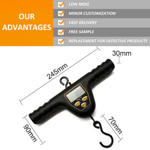 Balances de pêche numériques uniques J & R T-Bar Handy Carp Hook 10g Precision Support OEM personnalisable y compris ruban de mesure - Product Image 3