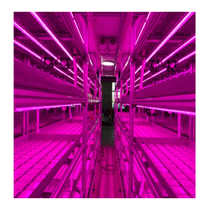 20FT/40FT conteneur agricole à effet de serre Superfarm conteneur d'expédition ferme avec système hydroponique NFT - Product Image 3