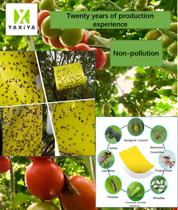 Paquete de Trampas Adhesivas para Insectos, Súper Adhesivas y de Captura Rápida para Insectos Voladores de Plantas - Product Image 1