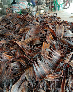 ไส้เดือนแห้งจากเวียดนามใช้เป็นอาหาร - Product Image 3