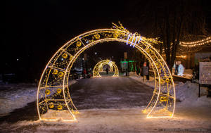 Luces LED con Motivo de Arco, Impermeables IP65, Color Personalizado, Decoraciones Navideñas y Festivas para Interiores/Exteriores con 2 Años de Garantía - Product Image 1