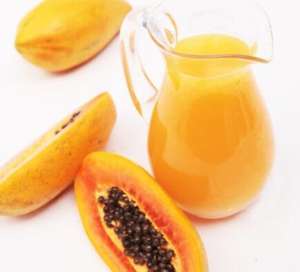 Extrait de graines de papaye/extrait de papaye en poudre - Product Image 5