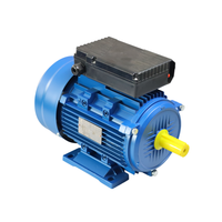 Moteur ML-63-2 0,25 kW, moteur à induction AC, moteur triphasé AC, monophasé