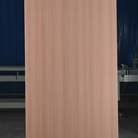 Lembaran HPL Tahan Air Tahan Api, Laminasi Tekanan Tinggi 0.1-1mm, Papan Dekorasi untuk Dinding Kabinet Dapur, Dekorasi Interior