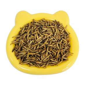 Larves de mouches noires séchées 100% naturelles BSFL, riches en protéines, emballage personnalisé, alimentation animale - Product Image 1
