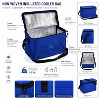 Bolsa Térmica Personalizada para Almuerzo, de Tela No Tejida, con Logotipo Personalizado, Portátil, Aislada, para Oficina, Picnic, Camping
