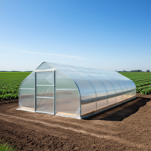 Invernadero Tipo Túnel de 12 x 30 Pies, con Lámina de Plástico EVA Transparente de 6 Mil, Invernadero Agrícola con Laterales Enrollables - Product Image 2