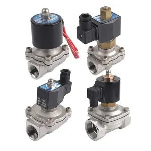 Elettrovalvola a solenoide ad aria di tipo aperto normale elettrica in acciaio inossidabile 24v serie 2S