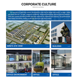 Manufacturer Direct Sale Cheap <strong>Digital</strong> <strong>Flow</strong> <strong>Meter</strong> for Food Industry Stable Gas <strong>Flow</strong> <strong>Meter</strong> for Manufacturing - Product Image 4