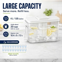 Distributeur de boissons en plastique 4L pour 20 tasses, avec filtre à fruits, grande carafe filtrante à eau, bouilloire froide avec robinet pour réfrigérateur