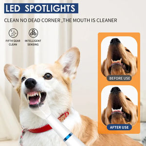 Şarj edilebilir elektrikli ultrasonik diş diş temizleyici ölçekleyici kiti çok amaçlı diş beyazlatma aksesuarları Pet köpekler için - Product Image 3