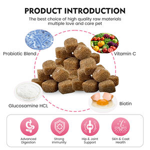 Marque distributeur Complément multivitamine personnalisé pour animaux de compagnie Chien 23 en 1 Suppléments à mâcher souple pour soins de santé - Product Image 2