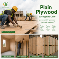Contrachapado Comercial Africano de Eucalipto de 3-25 mm, Contrachapado Liso de 1220x2440 mm, Suministro Directo de Fábrica para la Construcción de Edificios