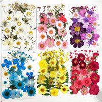 E037 Matériel de fleurs séchées, colle pour fleurs réelles, bouquet en résine fait main, fleurs pressées pour la fête des mères