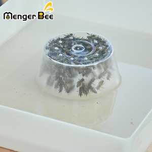 Nouveau Manger à abeilles Menger Bee BF-10, distributeur rapide d'aliments pour abeilles, dessus de ruche carré, 1 gallon, fontaine à sucre en plastique PP, équipement d'apiculture, 2 ans - Product Image 6