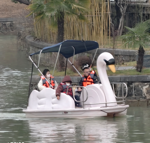 Parc d'attractions aquatique Utilisé White Swan Pedal Boat Bateau électrique - Product Image 4