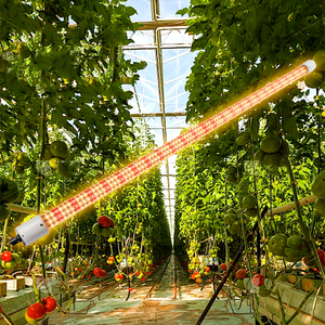 <span class=keywords><strong>Tube</strong></span> LED de culture de plantes à spectre personnalisable et dimmable de 660 nm rouge, à connexion en chaîne, pour la culture hydroponique, la culture tissulaire et le semis - Product Image 5