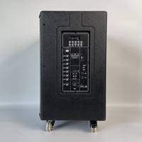 Altavoz inalámbrico activo para exteriores de 600W Altavoz de barra de sonido portátil TWS Bt Altavoz de audio profesional con 2 micrófonos inalámbricos