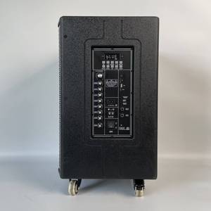 600W ngoài trời hoạt động loa không dây di động TWS BT âm thanh loa âm thanh chuyên nghiệp loa với 2 mics không dây - Product Image 6