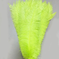 60-65cm grande taille carnaval Costume plume d'autruche en différentes couleurs plume d'autruche plumes teint plume d'autruche