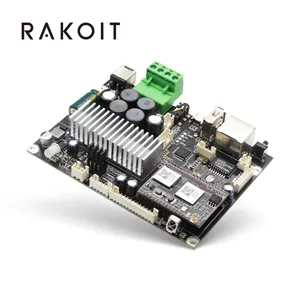 Rakoit Up2Stream Mono Papan Keluaran Mono Amplifier Streaming Audio Kelas D Digital Power