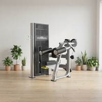 Machine de musculation isolalette professionnelle en acier robuste à charge par broches pour exercices de levée latérale