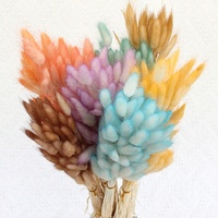 Décoration intérieure 60pcs/bouquet dégradé de couleur séché queue de lapin herbe séchée Lagurus fleur matériel décor à la maison