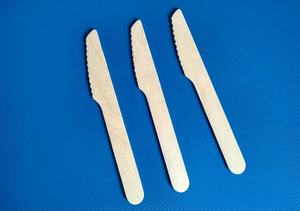 Juego de cubiertos desechables ecológicos con platos y platos de plantas tipo patrón con cuencos y platos de areca - Product Image 3