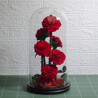 UKIQUEEN vente en gros de fleurs naturelles conservées à longue tige, dôme en verre stabilisé, roses dorées éternelles enchantées avec boîte-cadeau