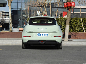 2024 हॉट बिक्री चीनी वाहन और ओरा 4-सीटर नई ऊर्जा वाहन मिनी इलेक्ट्रिक कार ओरा अच्छी बिल्ली - Product Image 6