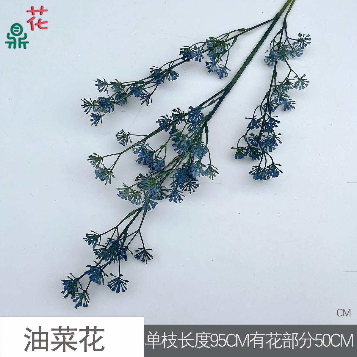 Fleur de colza CM Bleu