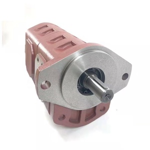 Yuanyi Hydraulic Gear <b>Pump</b> CBGJ2080/2080 Double CBGJ High Oil <b>Pump</b> 280 cm Displacement 5 HP 300 <b>bar</b> Operating Pressure - Product Image 4