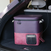 Congélateur isolé LP DC AC Power Bank alimentation refroidisseur sac à dos réfrigérateur de voiture isolation intelligente réfrigérateur de voiture vente en gros