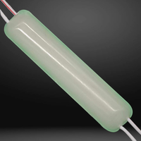 Module étanche LED haute luminosité 12V avec couleurs d'émission blanc chaud et jaune Éclairage basse tension IP65
