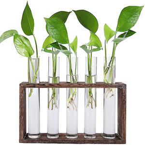 Wholesale Desktop Glass Planter 5 Test Tube Flower <b>Bud</b> <b>Vase</b> in Wood Stand Rack Tabletop Terrarium for Hydroponic Plants - Product Image 1