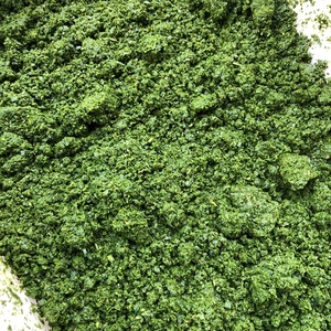 Machine à Broyer les Feuilles <span class=keywords><strong>de</strong></span> Manioc Fraîches à Haute Efficacité, Machine à Pâte <span class=keywords><strong>de</strong></span> Feuilles <span class=keywords><strong>de</strong></span> Manioc - Product Image 4