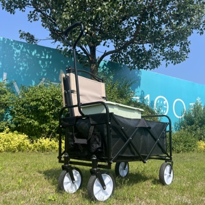 Carretilla Plegable con Capacidad de Carga de 100 kg para Uso en el Hogar y Jardín - Product Image 6